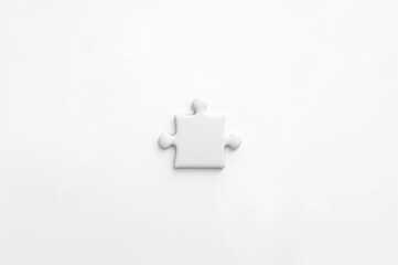 Obraz premium Final piece of the puzzle with white space