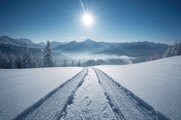 Double sets of ski trails in untouched snowy terrain