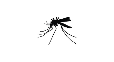 Detailed silhouette of a mosquito showing its delicate wings and legs