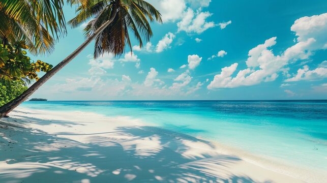 Beautiful tropical beach with palm trees and clear blue water under a sunny sky