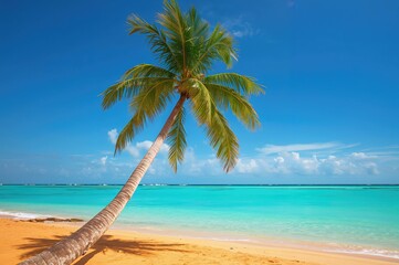 Summer scene with a palm tree overlooking a beautiful ocean on a tropical shore