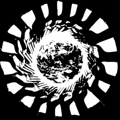 Abstract Black and White Circular Design with Radial Pattern and Textured Center.