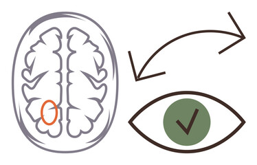 Diagram of a human brain and an eye linked with arrows, highlighting the brains visual processing region. Ideal for neuroscience, vision, perception, cognition, health, learning, simple flat metaphor