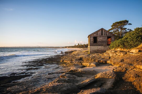 Remains of a tiny cabin along the rugged shore