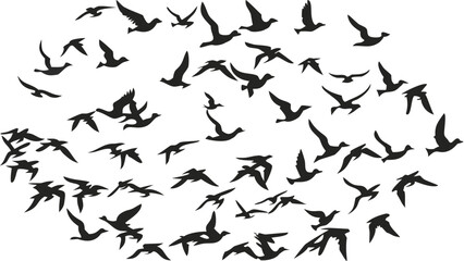 Stunning flock of birds takes flight creating dynamic, organic patterns for your designs
