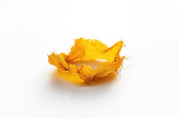 Naklejka premium Single sunny flower with a drooping yellow petal against a white backdrop