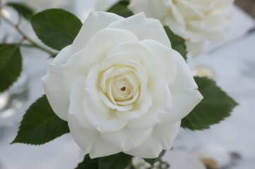 Wedding decoration with white rose