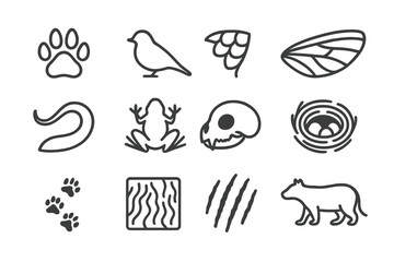 Naklejka premium Wing animal nest vector mark icon paw silhouette icons biology mammal insect