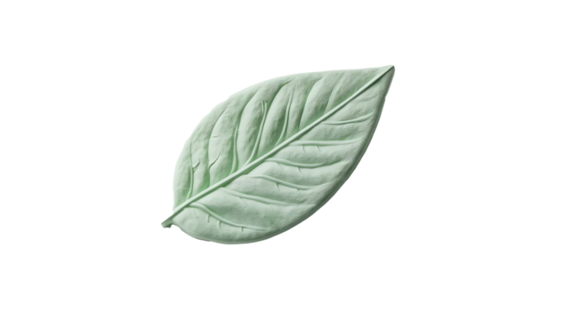A 3D leaf icon with a smooth, organic shape.  png
