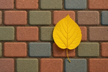 Colorful paving stones featuring a yellow leaf in an autumn-themed arrangement