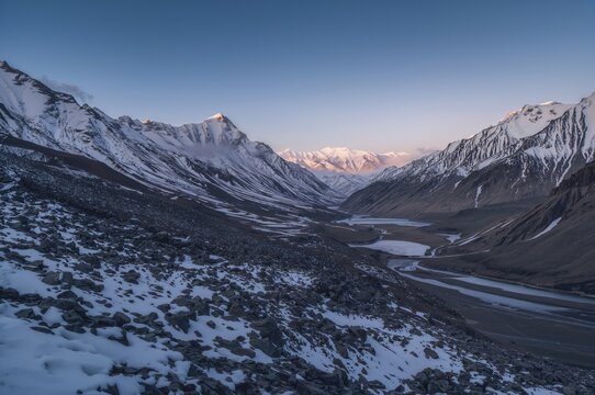 Horned yack in snowy mountainous winter landscape