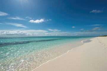 Coastal shore scenery with ocean, sky, and wildlife in a sunny setting