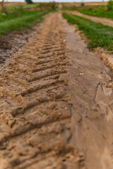 close-up of tractor tracks on a dirt road