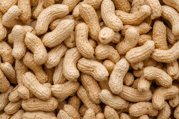 Arachis hypogaea, commonly known as peanuts, is a leguminous plant from the Fabaceae family that develops shrubs approximately 30 to 50 cm tall.