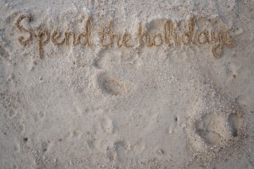 Fototapeta premium Celebrate the New Year and holidays on a sunny tropical shore