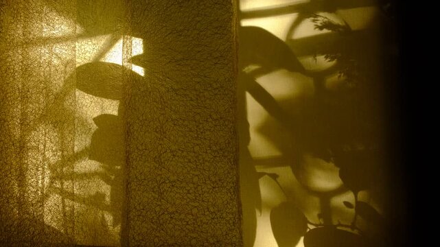 Window and sunset sunlight, vintage curtain and floral shadow on yellow background. Minimal interior decoration. Cozy home. Autumn style aesthetics. Majestic atmospheric mood