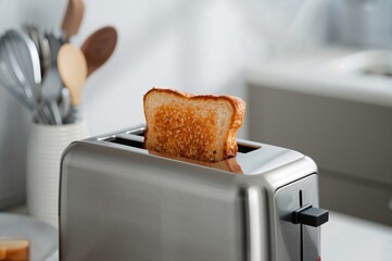 Stainless steel toaster ejecting toasted bread slices