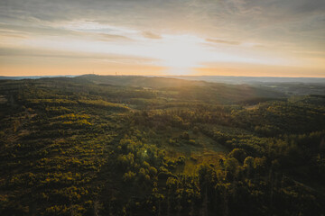 Nature's Silence – Sunrise Over Lake and Trees