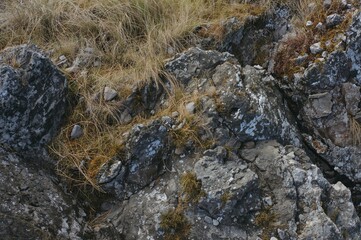 Coastal stones along the northern shoreline