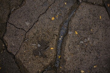 Obraz premium Detailed view of rough concrete ground featuring both smooth and fractured areas, accentuated by water-filled gaps and scattered tiny yellow leaves