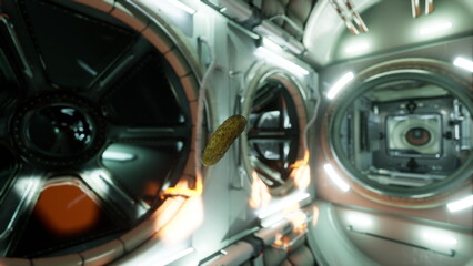 A small snack drifts weightlessly in a high tech space station. Bright lights illuminate the sleek metallic walls, creating a futuristic ambiance. © icetray