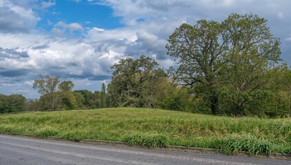 Naklejka premium Daytime landscape featuring a hill with trees, cloudy skies, trimmed grass, and a gravel pathway.