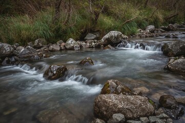Fototapeta premium A gentle stream cascading over stones in a forest reserve, captured with a long exposure to create smooth water effects