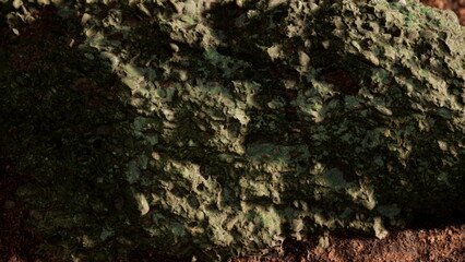 Sunlight illuminates a moss covered stone, revealing unique textures and colors. This natural artwork is found on the forest floor, surrounded by earthy tones and organic beauty.