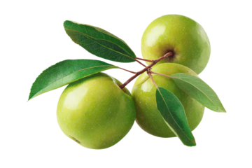 Three fresh green apples with leaves on a branch, cut out