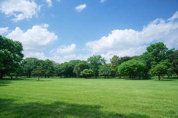 Obraz premium Features of Springs in a Serene Park Landscape