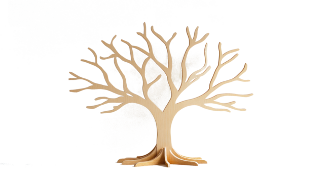 A wooden tree with simple branches on a white background  png