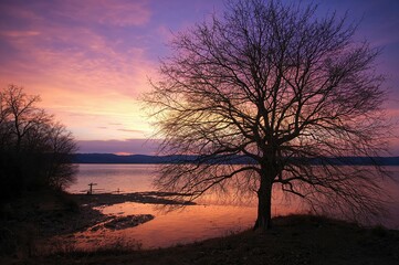 Fototapeta premium Breathtaking evening sky above a peaceful lake, calm waters, leafless trees, and beautiful colors.