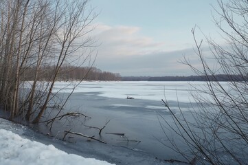 Frozen lake scene with trees in winter