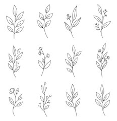 Elegant Decorative Floral Ornaments and Botanical Design Elements with Swirls, Leaves, Arrows and Flowers for Borders, Frames, Dividers, Patterns, and Decorative Artwork in Vintage and Modern Styles