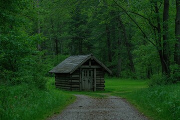 A tiny wooden cabin nestled among trees with greenery and a dirt path