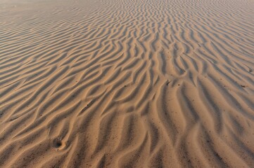 Fototapeta premium Smooth sandy surface at the shore or desert area with ample blank space for writing.
