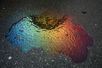 Vibrant oil slick pattern on damp road surface