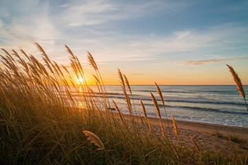 Golden sunrise glow filtering through coastal grass and sandy shore