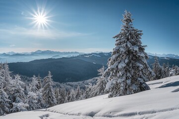 Fototapeta premium Bright winter day in snowy mountain scenery with trees and clear sky