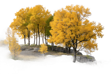 Group of deciduous trees among the rocks. Cutout yellow trees On Transparent Background