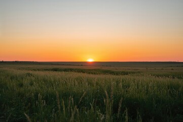 Fototapeta premium Summer evening glow across the grasslands