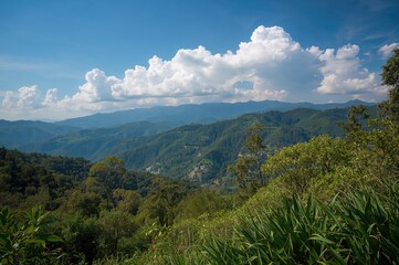 Naklejka premium A Mountainous Terrain Abundant With Vegetation And Forests