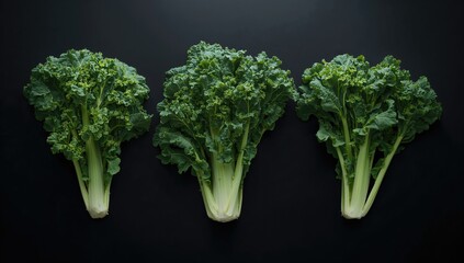 Three vibrant organic kale specimens on a dark backdrop. Fresh green veggies symbolizing nutritious diet and plant-based lifestyle.
