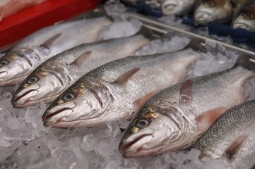 Close-up of fresh seafood displayed on ice at a market for personal cooking use. Ensuring food safety through self-preparation.