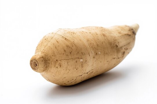 Colocasia esculenta: A Staple Food in Various Global Cultures