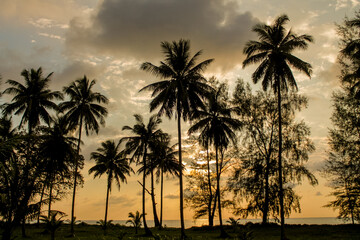 Cliffs, palm trees and sandy beach in Krabi, Thailand, with turquoise sea, limestone formations, and tropical vegetation under clear sky, showing coastal landscape travel destination in Andaman sea