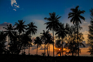 Naklejka premium Cliffs, palm trees and sandy beach in Krabi, Thailand, with turquoise sea, limestone formations, and tropical vegetation under clear sky, showing coastal landscape travel destination in Andaman sea