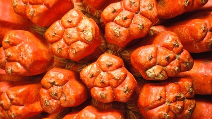 close up of a red onion
