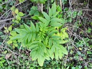 Beautiful nature photos