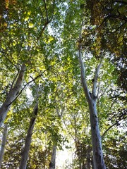 Beautiful nature photos